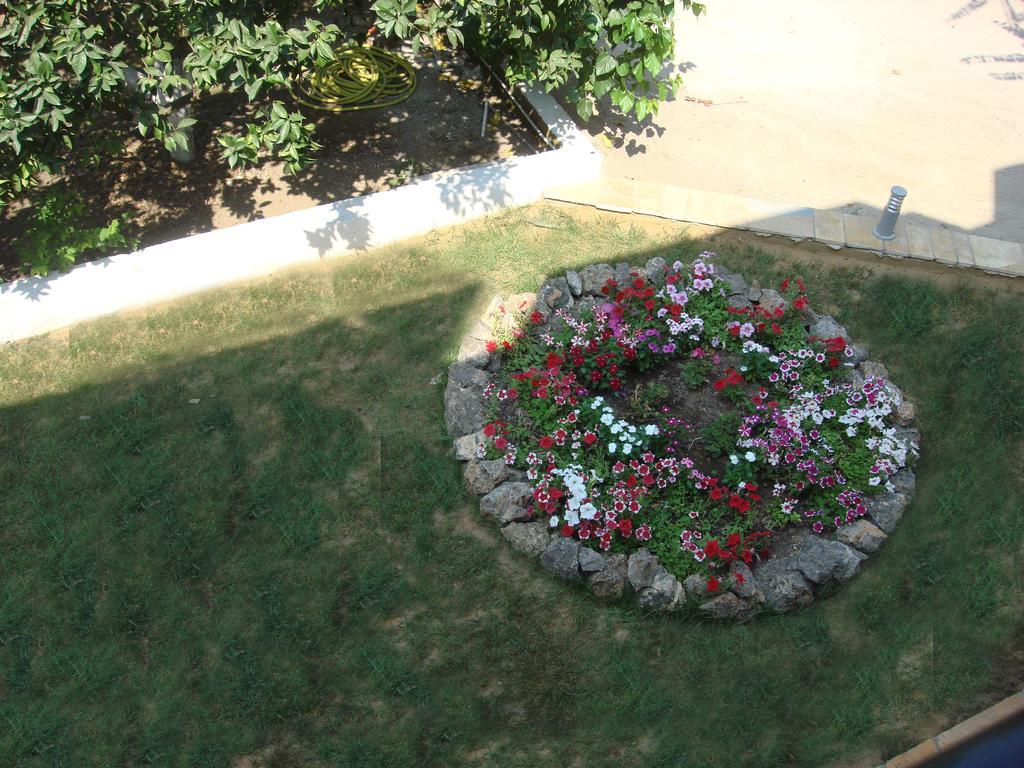 ذيسْخا Aspa'S Apartments المظهر الخارجي الصورة